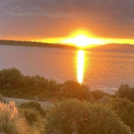 فيلة Seaside