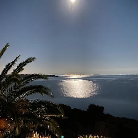 فيلة Seaside